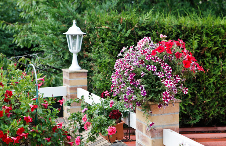 Jardins et balcons fleuris 2014