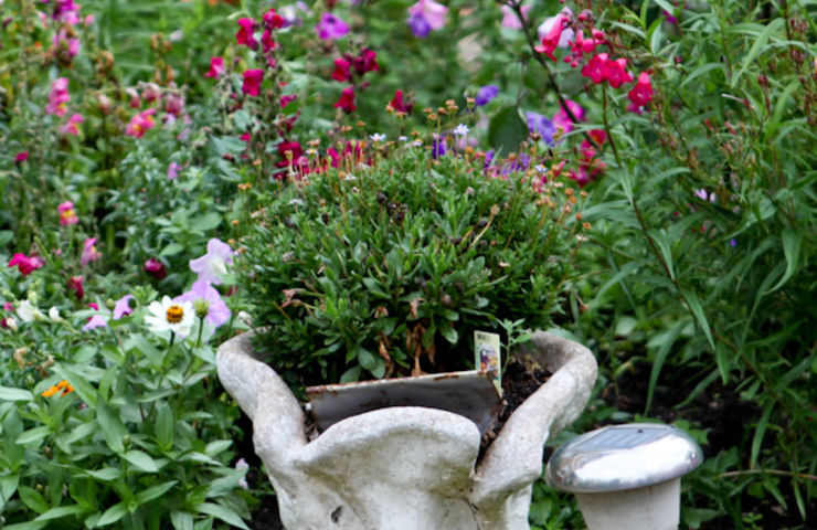 Jardins et balcons fleuris 2014