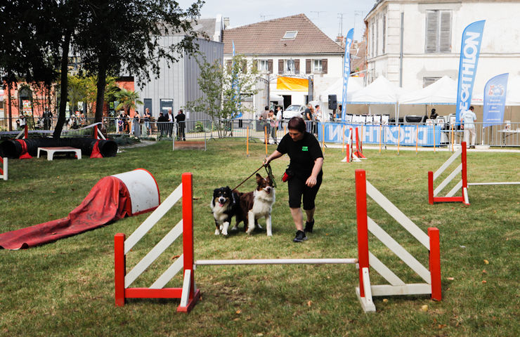 Foire aux Haricots 2014