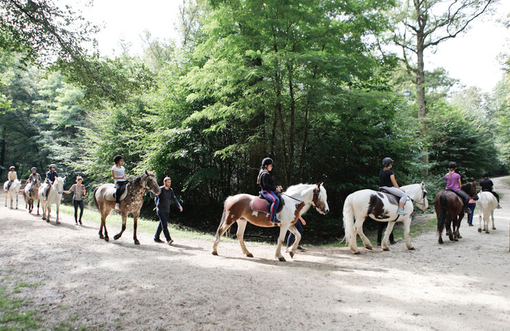 Stage d'équitation du smj