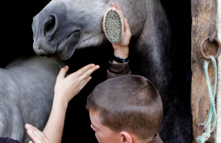 Stage d'équitation du smj